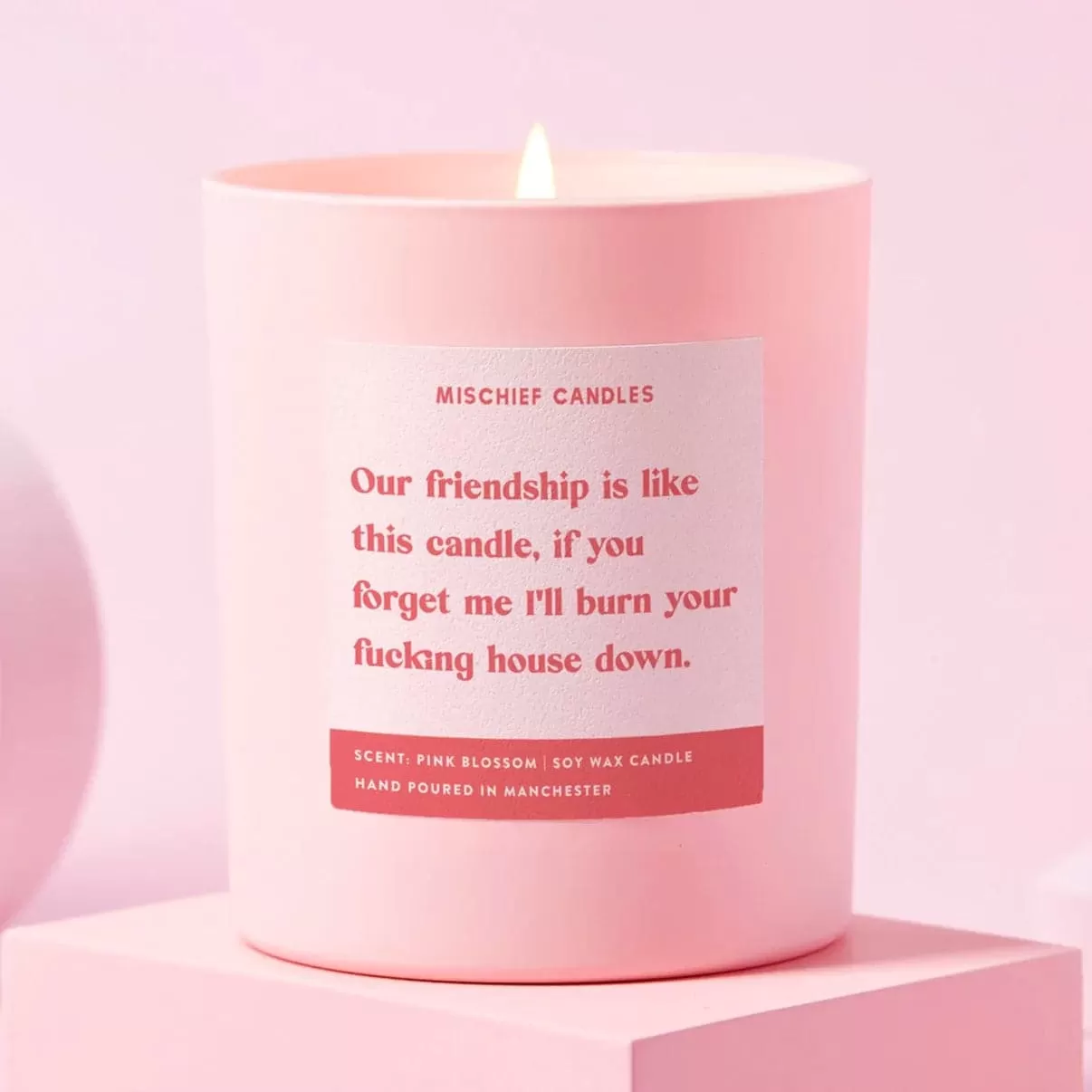 Best Friend Funny Burn House Down Gift For Her Funny Candle