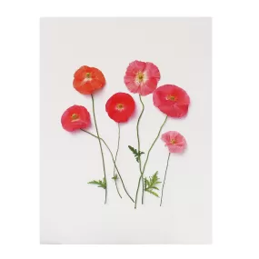 Blank Folding Greeting Card in Pink, Red, and Orange Poppies