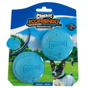 Chuckit! Rebounce Fetch Ball Dog Toy