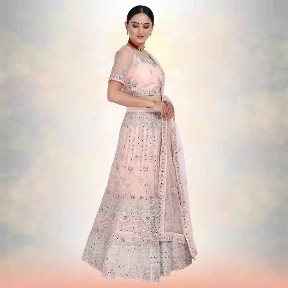 Mirror work lehenga Choli - Biege