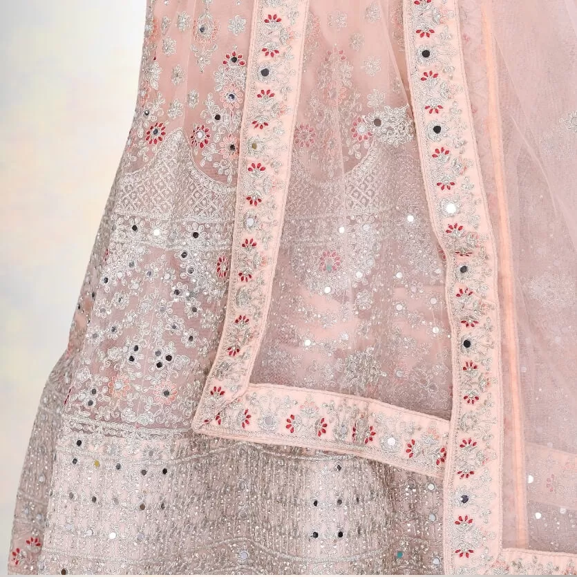 Mirror work lehenga Choli - Biege