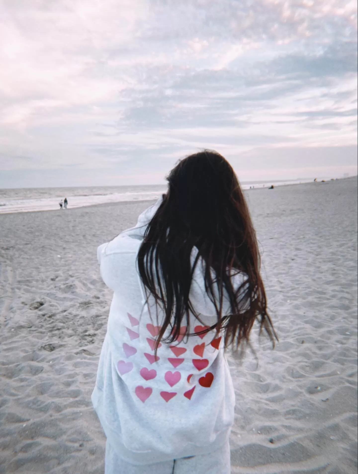 Ombre Hearts Embroider Hoodie